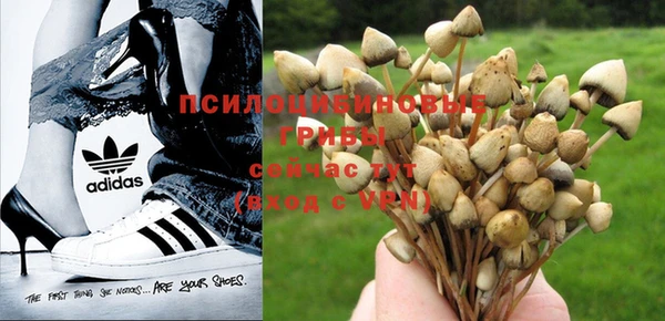гашишное масло Алексеевка