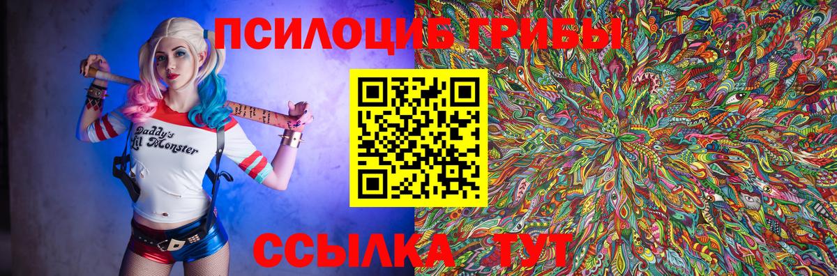 Псилоцибиновые грибы мицелий  Вход с VPN  Минусинск 